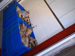 -正宗忘不了老鹅(梅岭店)