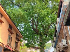 -杭州西湖风景名胜区-满觉陇四眼井