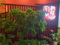 -洞庭家宴·头牌甲鱼(广渠门店)