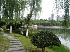 -后襄河公园