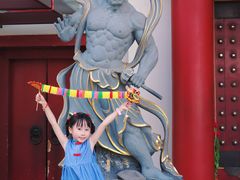 -新加坡佛牙寺龙华院