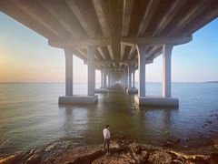 -宝安西湾红树林湿地公园