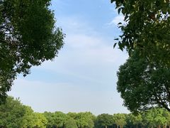 -上海吴淞炮台湾国家湿地公园