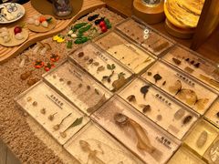 -二酉书店TOYOU BOOKS