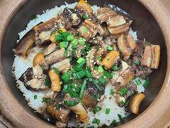 -红星光发煲仔饭(文海店)