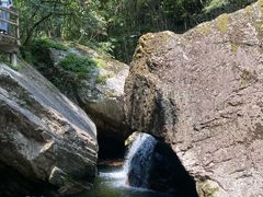 -牛背梁国家森林公园