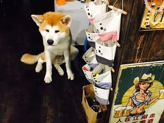 -虎虎龙虾•9年湖北匠(双井店)