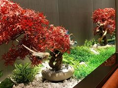 -蝎王府羊蝎子(西直门店)