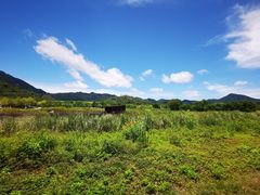 -坝光海滩