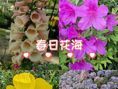 -苏州上方山国家森林公园