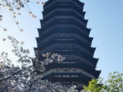 -红梅公园
