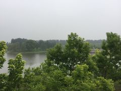 -东郊湿地公园
