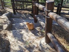 -北京十三陵国家森林公园蟒山景区