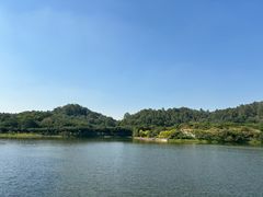 -番禺大夫山森林公园