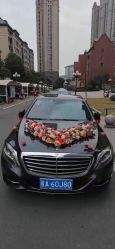 -蚂蚁婚车