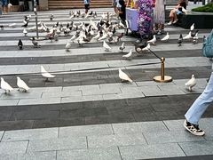 -中航城君尚购物中心