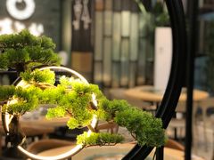 -喜上喜鸡煲翅(吉大店)