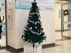 -南方医科大学深圳医院