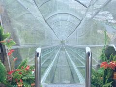 -汕尾铜鼎山旅游区