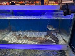 -大润发(高鑫广场店)