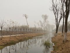 -东郊湿地公园