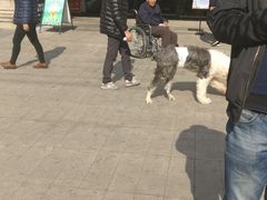 -银亿滨江中心