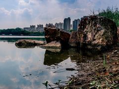 -南翔镇银翔湖公园