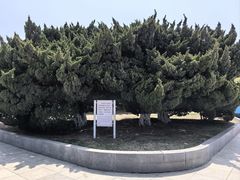 -旅顺博物馆