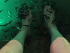 -宝丽金大酒店·洗浴中心
