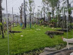 -武汉动物园