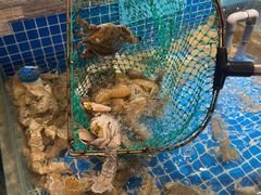 -小时候焗海鲜(鄞州万达店)