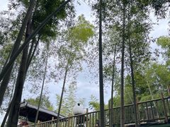 -陶祖圣境风景区