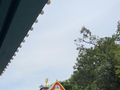 -广州长隆野生动物世界