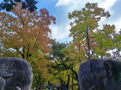 -灵谷景区