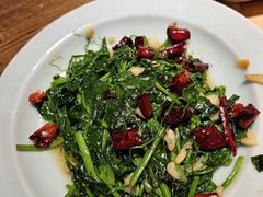 -鸽子窝(青塔店)