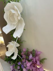 -头道汤头疗养生馆