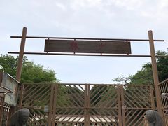 -大澳