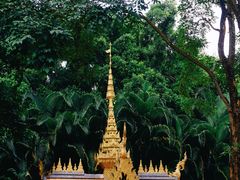 -西双版纳勐泐文化旅游区