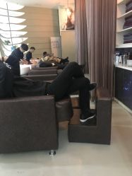 -威拉发艺