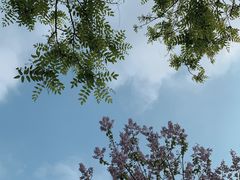 -三里河公园