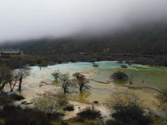-黄龙山原始森林景区