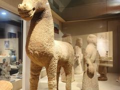 -乐山市博物馆