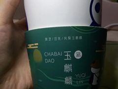 凤梨玉麒麟-茶百道(二七万达店)