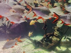 -太平洋海底世界