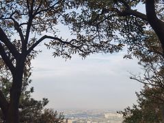 -惠山国家森林公园