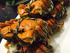 -新光酒家·河豚·海鲜·蟹料理(浦东店)