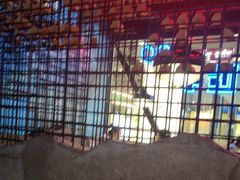 -匠子烤鱼(远大购物中心店)