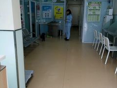 -瑞派·关忠动物医院·猫专科·犬专科(三环新城店)