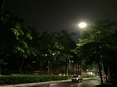 -福田体育公园游泳馆