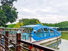 -大湾区中央湿地公园